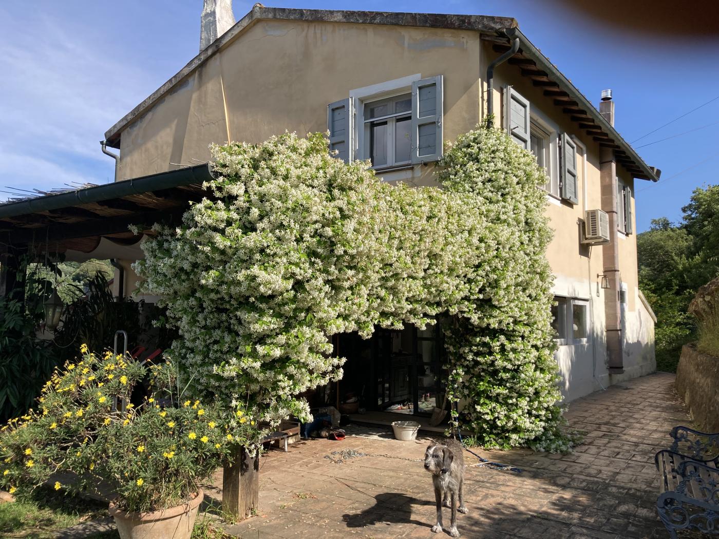 Haus2